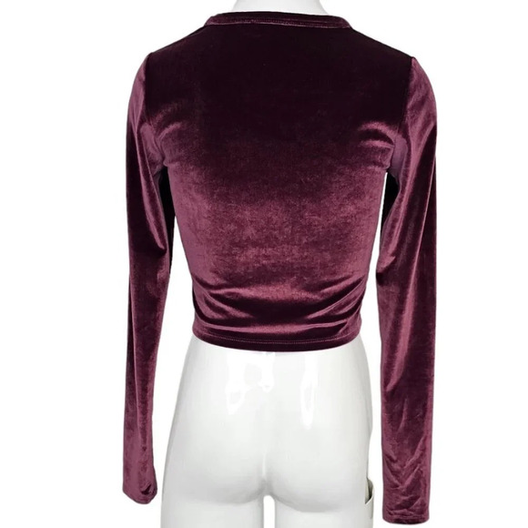 Aritzia Wilfred Free Velvet Long Sleeve Crop Top Size Small - Picture 3 of 7